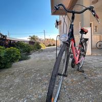 Bicicletta Esperia 6200 skylab