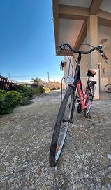 Bicicletta Esperia 6200 skylab