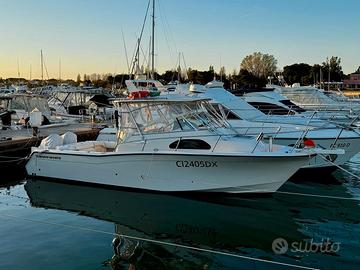 Grady white 300 marlin