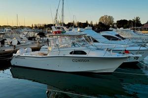 Grady white 300 marlin