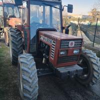 Trattore fiat 50 66