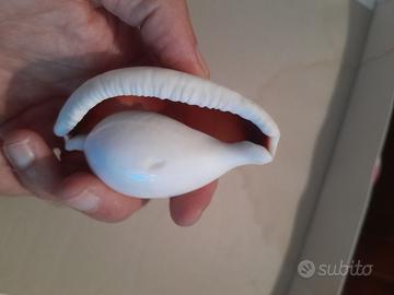 Coppia di conchiglie decorative