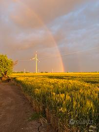 Azienda agricola