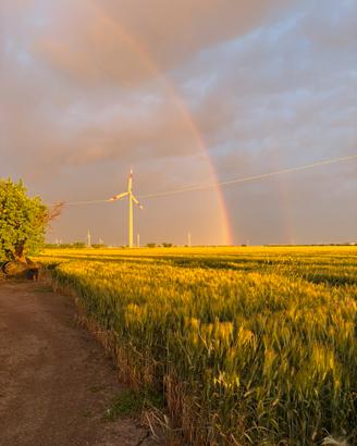 Azienda agricola