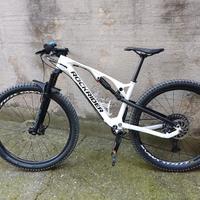 Mountain bike rockrider xc 900s