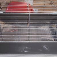 Gabbia per coniglio/piccoli roditori