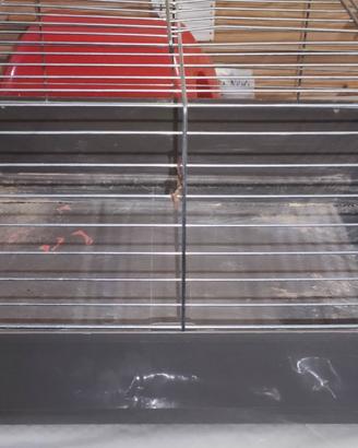 Gabbia per coniglio/piccoli roditori