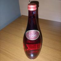 bottiglia di acqua minerale Ty Nant vintage 