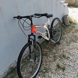 bicicletta