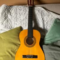 Chitarra stealton C105