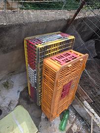 trasportini per pollame conigli ecc