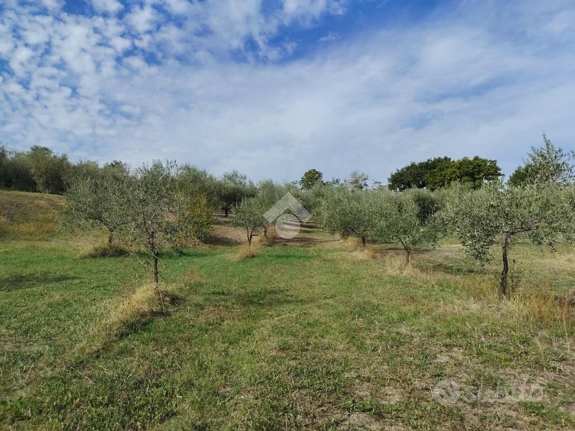 TER. AGRICOLO A VERUCCHIO - Vista 5