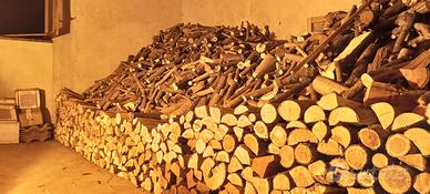 Legna da ardere verde (appena tagliata)