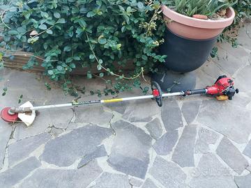 Decespugliatore Kawasaki tg20 non funzionante