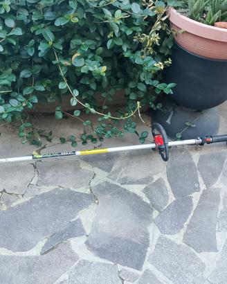 Decespugliatore Kawasaki tg20 non funzionante