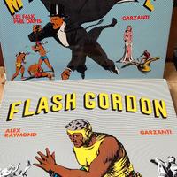 2 libri fumetto editore Garzanti Mandrake e Gordon