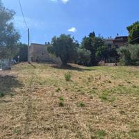 Terreno con rudere, Corinaldo centro storico