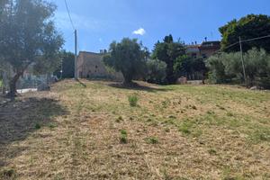 Terreno con rudere, Corinaldo centro storico