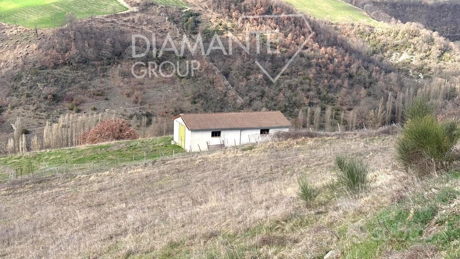 Azienda agricola di 6 ettari con casa e annessi - Vista 4