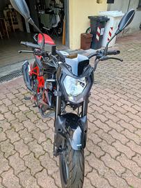Moto Benelli BN 125