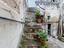 Immagine 18