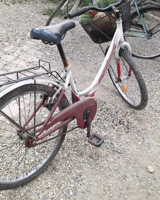 biciclette 
