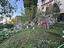 Immagine 22