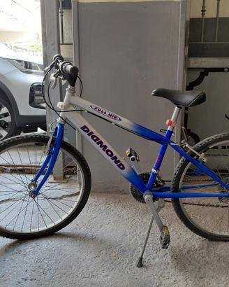 Bicicletta Mountain Bike per ragazzo