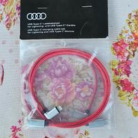 cavi di ricarica audi