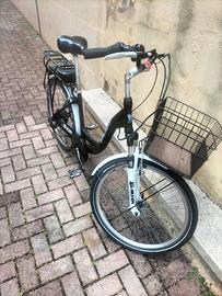 bici elettrica 