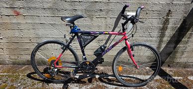 Mountain bike Giant Coldrock