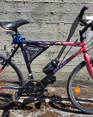 Mountain bike Giant Coldrock