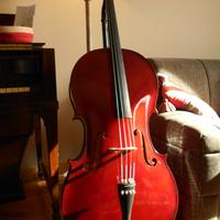 Violoncello 4/4