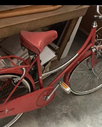 Bici olanda 24