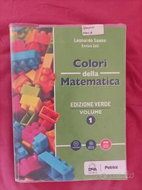 colori della matematica edizione verde volume 1