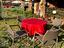 Immagine 10