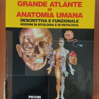 Atlante di Anatomia Umana
