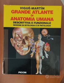 Atlante di Anatomia Umana
