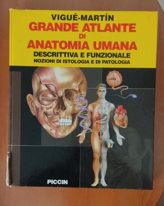 Atlante di Anatomia Umana