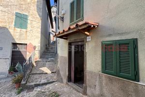 Terratetto Coreglia Antelminelli [UM269MGVRG]