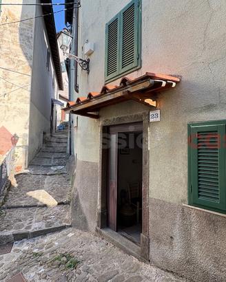 Terratetto Coreglia Antelminelli [UM269MGVRG]