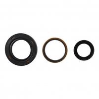 Serie paraolio motore da Speedway GM