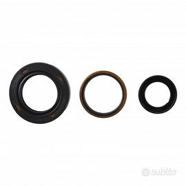 Serie paraolio motore da Speedway GM