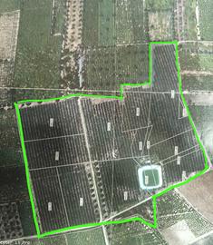 Terreno agricolo 61.000 mq