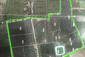 Terreno agricolo 61.000 mq