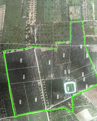 Terreno agricolo 61.000 mq