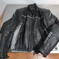 giubbotto Dainese 