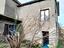 Immagine 10