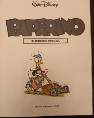 paperino un triennio strips doc