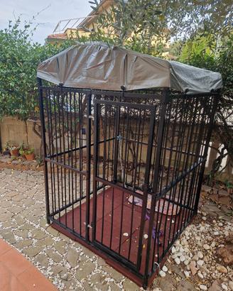 Recinto per cani 120x120x150+pavimento e ancoraggi